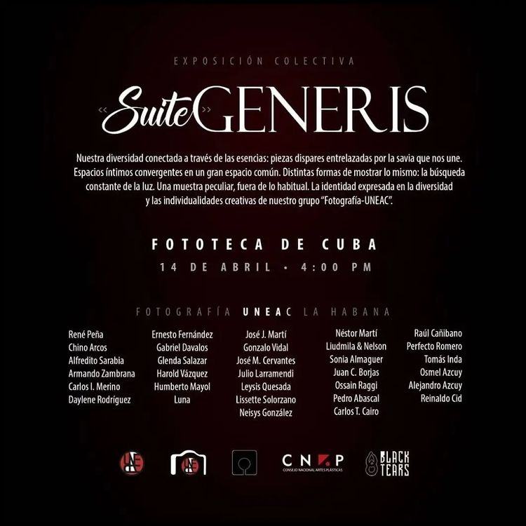 Exposición Suite: Generis Colectiva